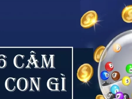 Lô Đầu 6 Câm Là Như Thế Nào? Lô Đầu 6 Câm Đánh Con Gì Hợp Lý