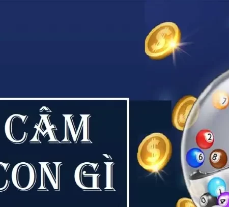 Lô Đầu 6 Câm Là Như Thế Nào? Lô Đầu 6 Câm Đánh Con Gì Hợp Lý