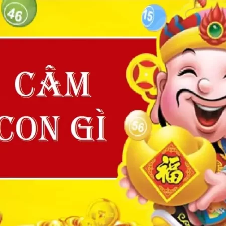 Đầu Câm 1 Là Như Thế Nào? Đầu 1 Câm Đánh Lô Gì Dễ Thắng