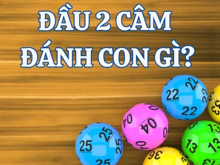 Lô Đầu 2 Câm Đánh Con Gì Dễ Thắng – Bí Kíp Chơi Lô Đề