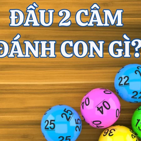 Lô Đầu 2 Câm Đánh Con Gì Dễ Thắng – Bí Kíp Chơi Lô Đề